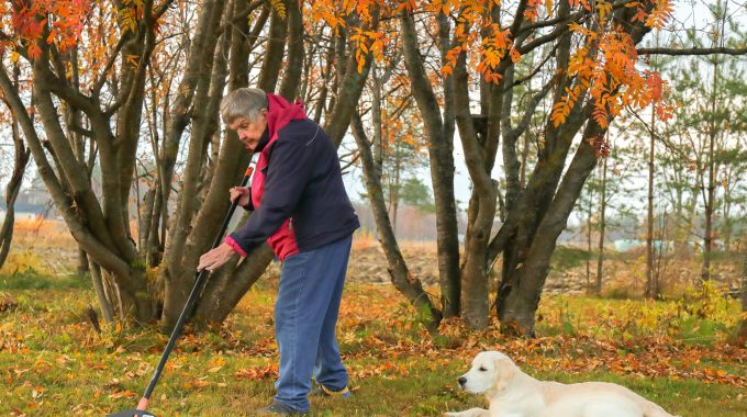 Koronasulku Ei Pahasti Järkyttänyt Ikäihmisten Arkea