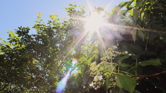 ”Käsi Kädessä Iän Kanssa, Kaikki Iät Alati Läsnä” – Kohtaamisia 90 Vuotta Täyttäneen Eeva Kilven Kanssa